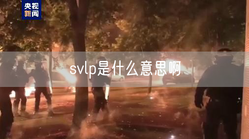 svlp是什么意思啊