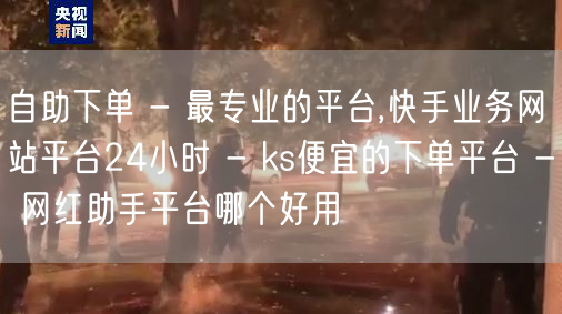 自助下单 - 最专业的平台,快手业务网站平台24小时 - ks便宜的下单平台 -