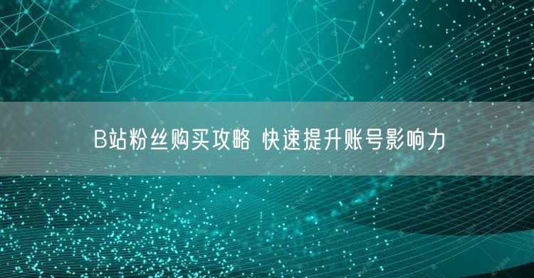 B站粉丝购买攻略 快速提升账号影响力