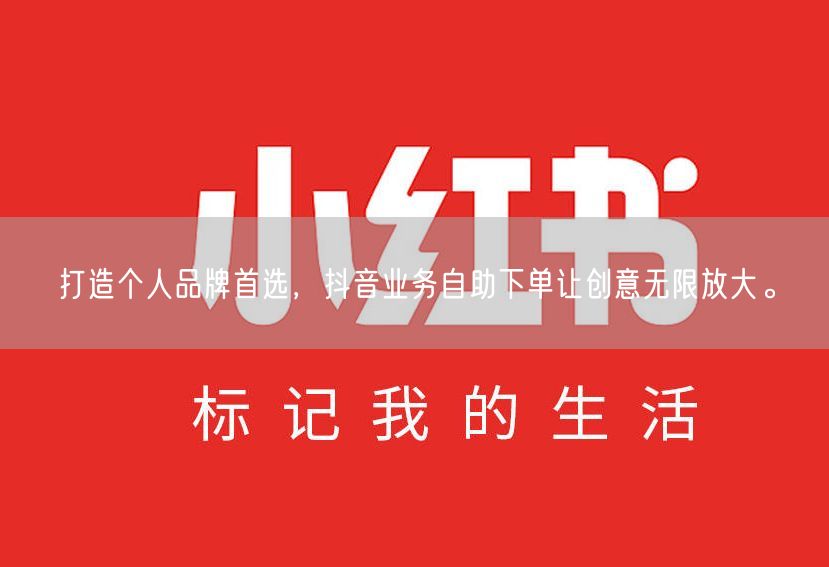 打造个人品牌首选，抖音业务自助下单让创意无限放大。